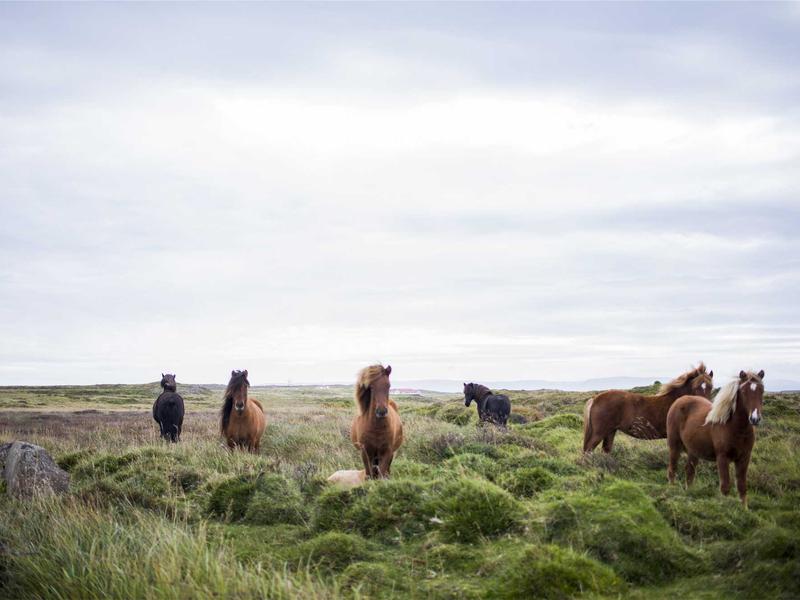 屏幕续航调节<br>显示与亮度延长待机时间
